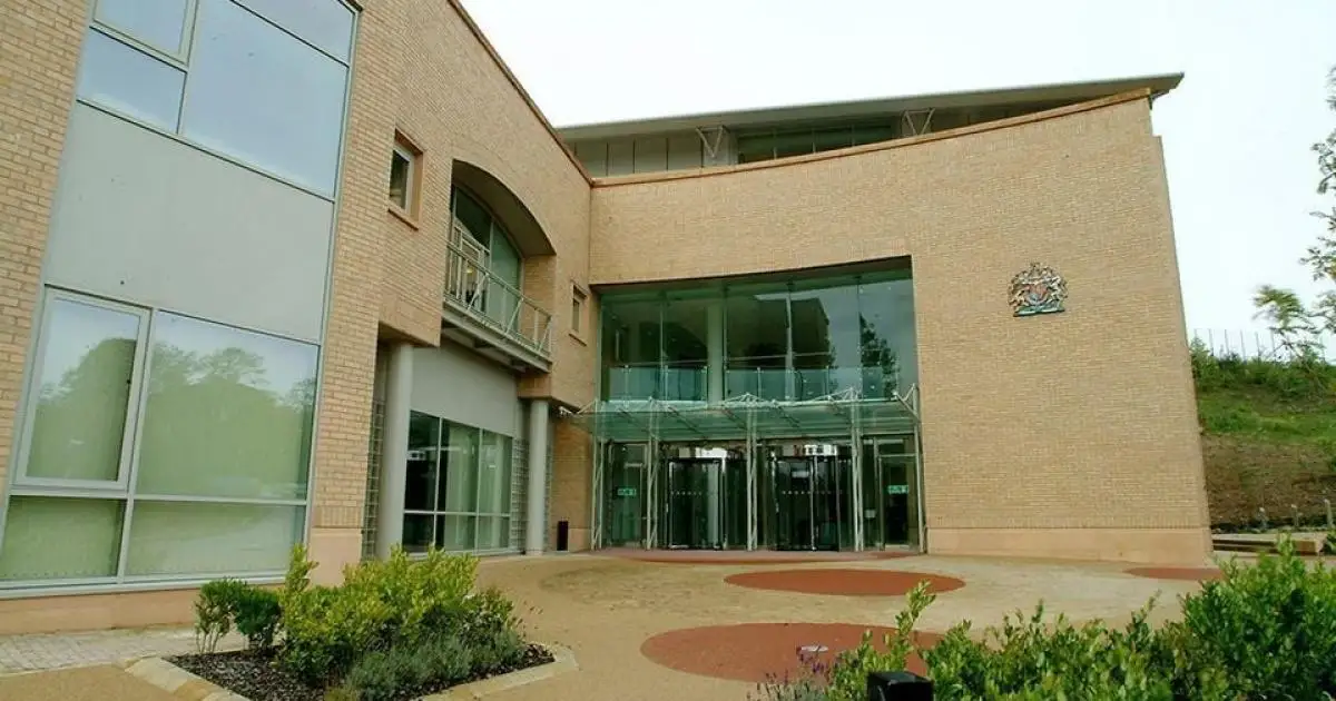 Article image